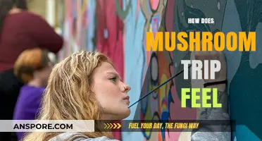 Exploring the Psychedelic Experience of Shroom Trips