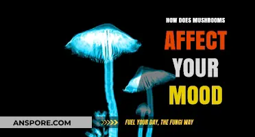 Mushrooms and Mood: The Complex Connection