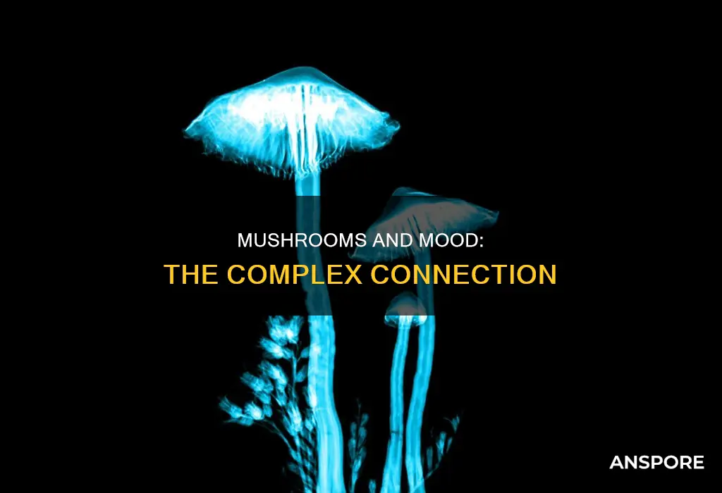 how does mushrooms affect your mood