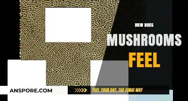 Mushrooms' Magical Sensory Experience: A Journey