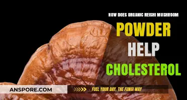 Reishi Mushroom Powder: Natural Remedy for Cholesterol