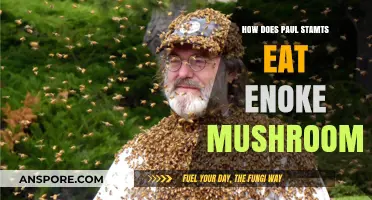 Paul Stamets' Enoki Mushroom Diet: A Healthy Eating Insight