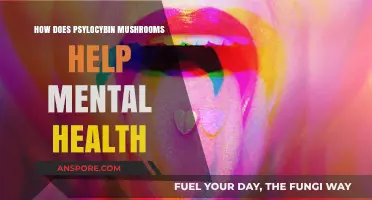 Psychedelic Mushrooms: A Natural Remedy for Mental Health