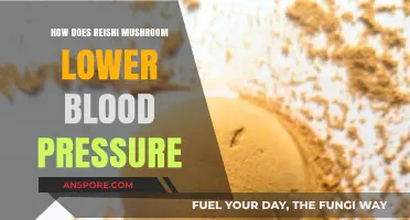 Reishi Mushrooms: Natural Remedy for Lowering Blood Pressure