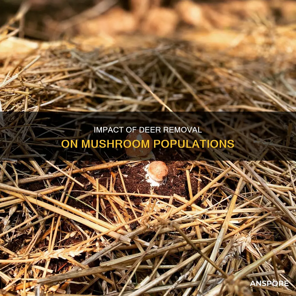 how does removing deer affect the mushroom population