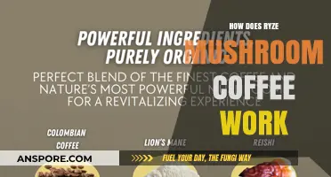Ryze Mushroom Coffee: Supercharge Your Day