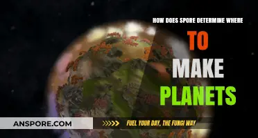 Spore's Planet Placement: Understanding the Algorithm Behind World Creation