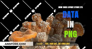 Spore's Data Storage Secrets: Encoding Information Within PNG Files