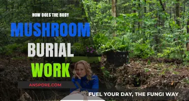 Mushroom Burial: Nature's Way to Decompose Bodies