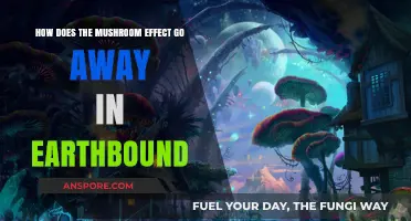 Mushroom Effect: EarthBound's Quirky Healing Mechanic Explained