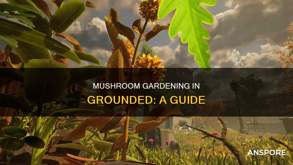 how does the mushroom garden work in grounded