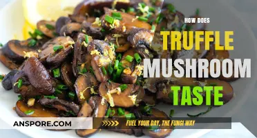 The Distinctive Flavor of Truffles