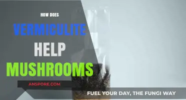 Vermiculite: Mushroom's Best Friend