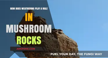 Mushroom Rocks: Weathering's Creative Power