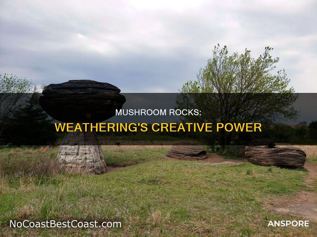 how does weathering play a role in mushroom rocks