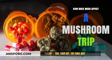 Weed and Shrooms: What's the Deal?