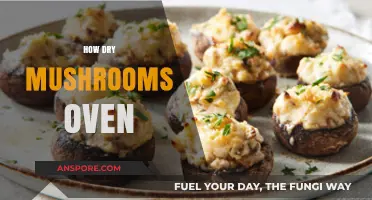 Best Way to Dry Mushrooms Using an Oven