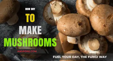 Perfectly Dried Mushrooms: Tips for Optimal Texture and Flavor