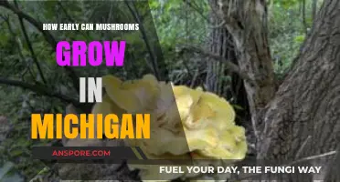 Michigan's Mushroom Season: When and Where to Find Early Growth