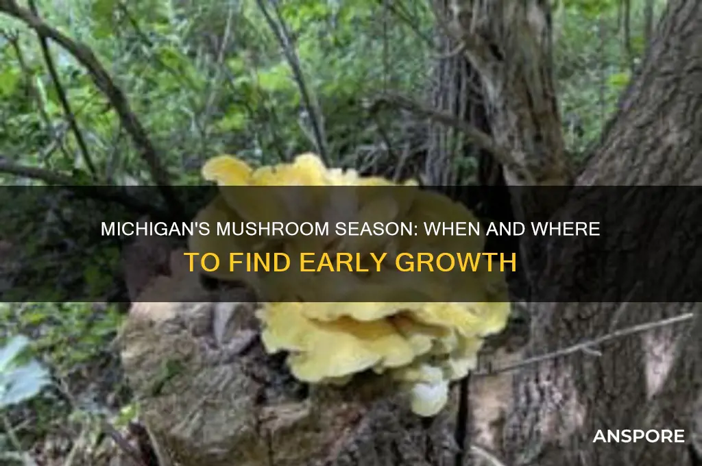 how early can mushrooms grow in michigan
