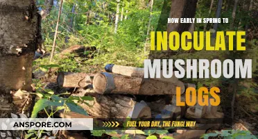 Inoculating Mushroom Logs: Best Time in Spring