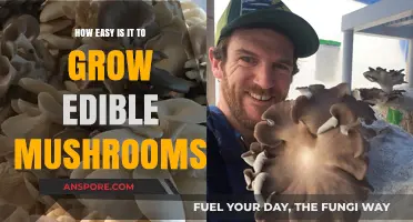 Growing Edible Mushrooms: Simple Steps for a Tasty Harvest