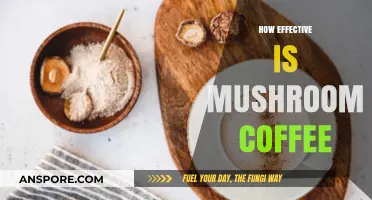 Mushroom Coffee: Supercharged Brew or Just a Fad?