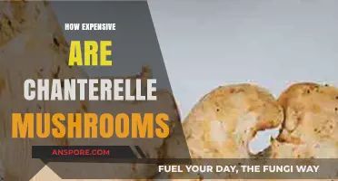 The High Price of Chanterelle Mushrooms