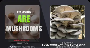 Mushroom Hunting: An Expensive Hobby?
