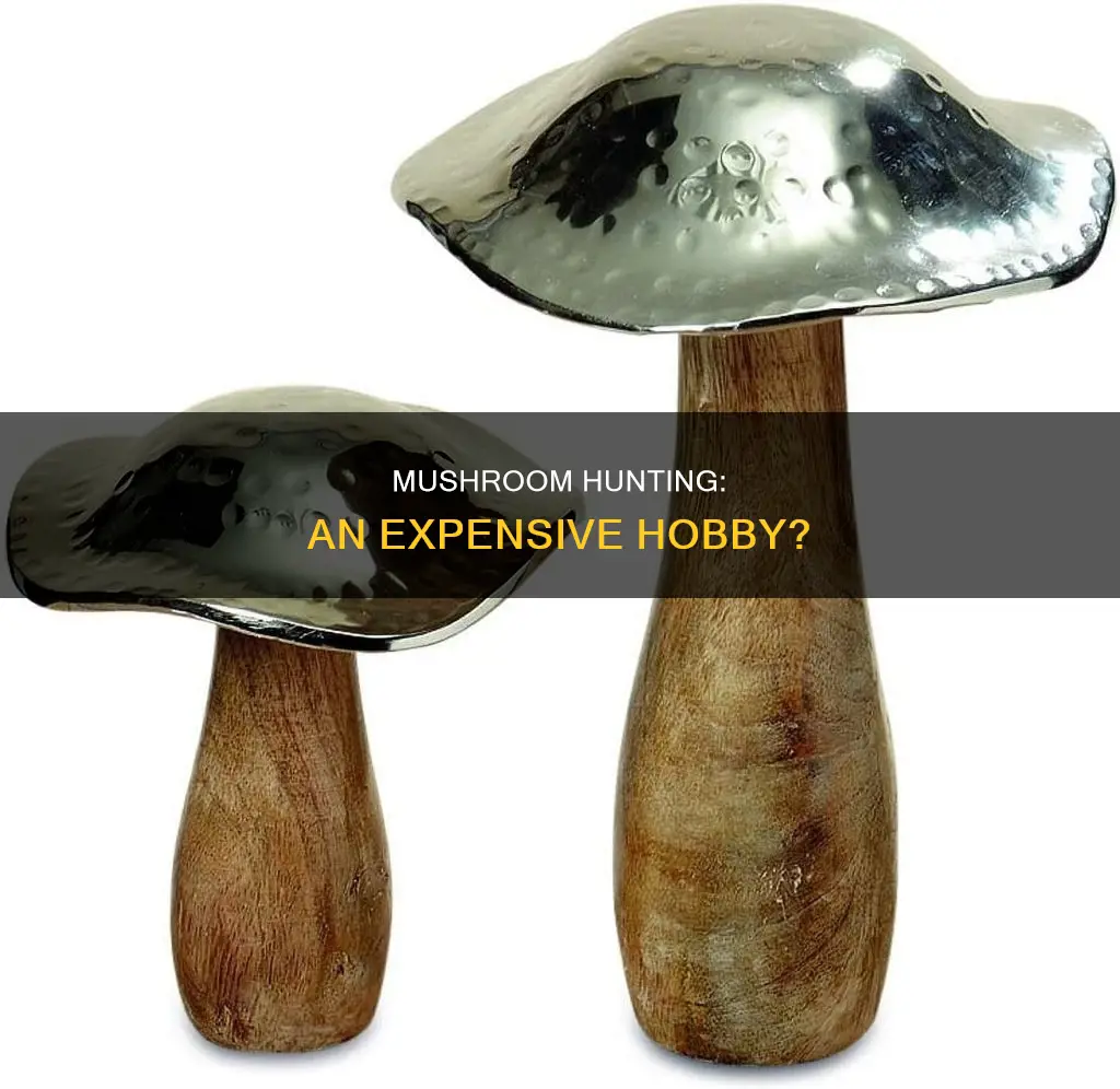 how expensive are mushrooms