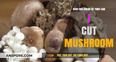 Cutting Mushrooms Ahead: Timing Tips for Freshness and Flavor
