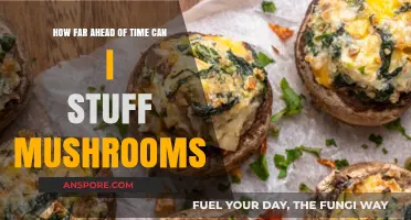 Stuffing Mushrooms: Timing Tips for Perfectly Prepared Appetizers