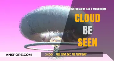 Visible Distance of a Mushroom Cloud: Factors and Realities