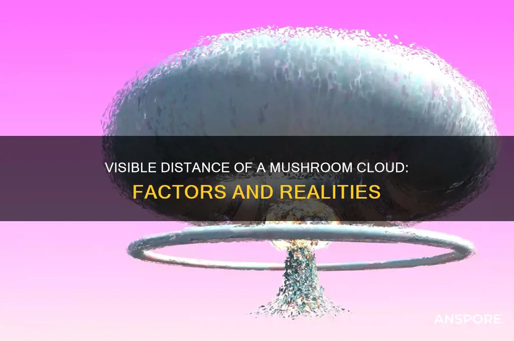 how far away can a mushroom cloud be seen