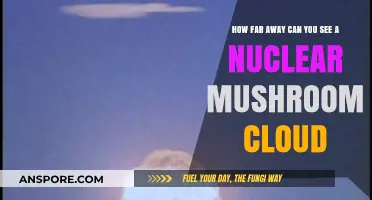 Visible Nuclear Mushroom Clouds: Maximum Distance and Factors Affecting Visibility