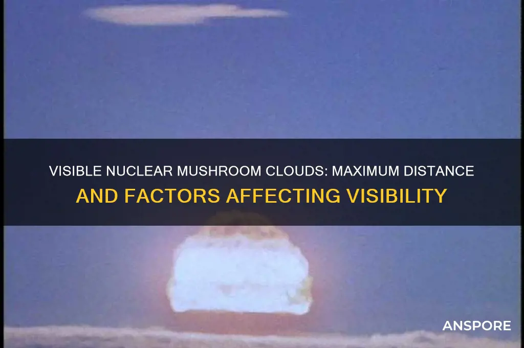 how far away can you see a nuclear mushroom cloud