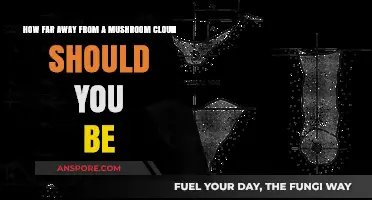 Stay Safe: Distance from Mushroom Cloud Matters