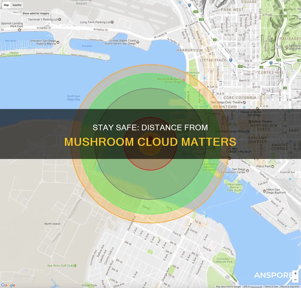 how far away from a mushroom cloud should you be