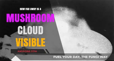 Visible Mushroom Clouds: How Far Away Can You See?