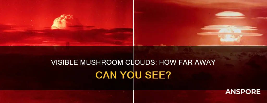 how far away is a mushroom cloud visible
