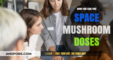 Optimizing Mushroom Dosing: Understanding Ideal Time Intervals for Safe Use