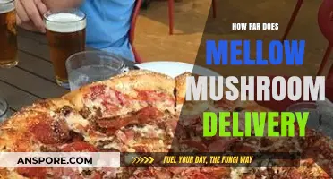 Mellow Mushroom's Delivery Range: How Far Do They Go?