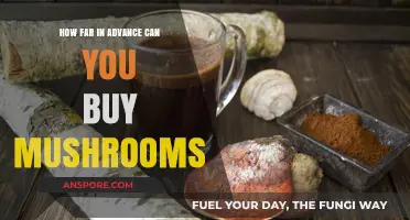 Planning Your Mushroom Purchases: Optimal Timing for Freshness and Availability