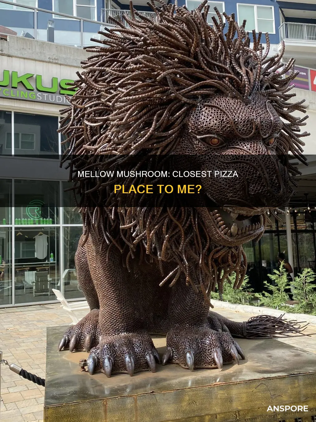 how far is mellow mushroom from me