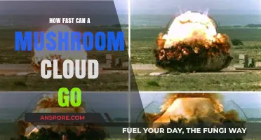 Explosive Speed: Unveiling the Rapid Expansion of Mushroom Clouds