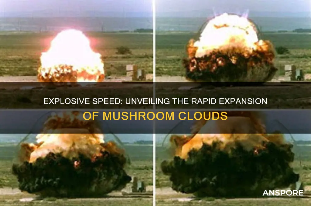 how fast can a mushroom cloud go