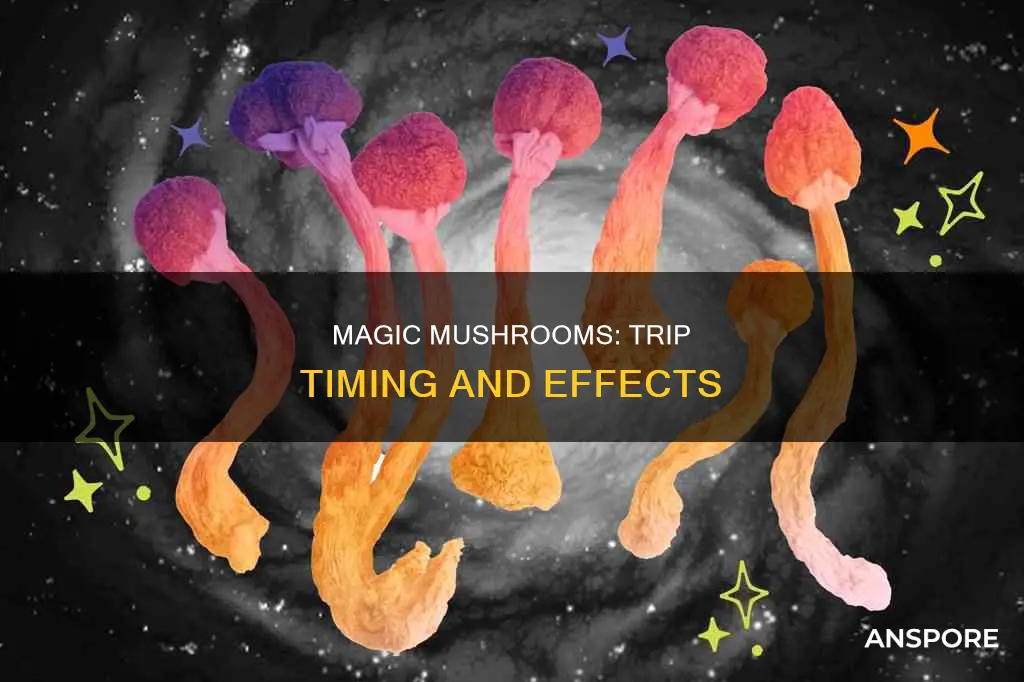 how fast do mushrooms hit
