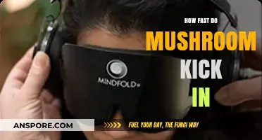 Mushrooms' Magical Effects: How Soon Do They Start?