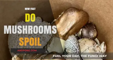 Mushroom Lifespan: How Long Do They Last?