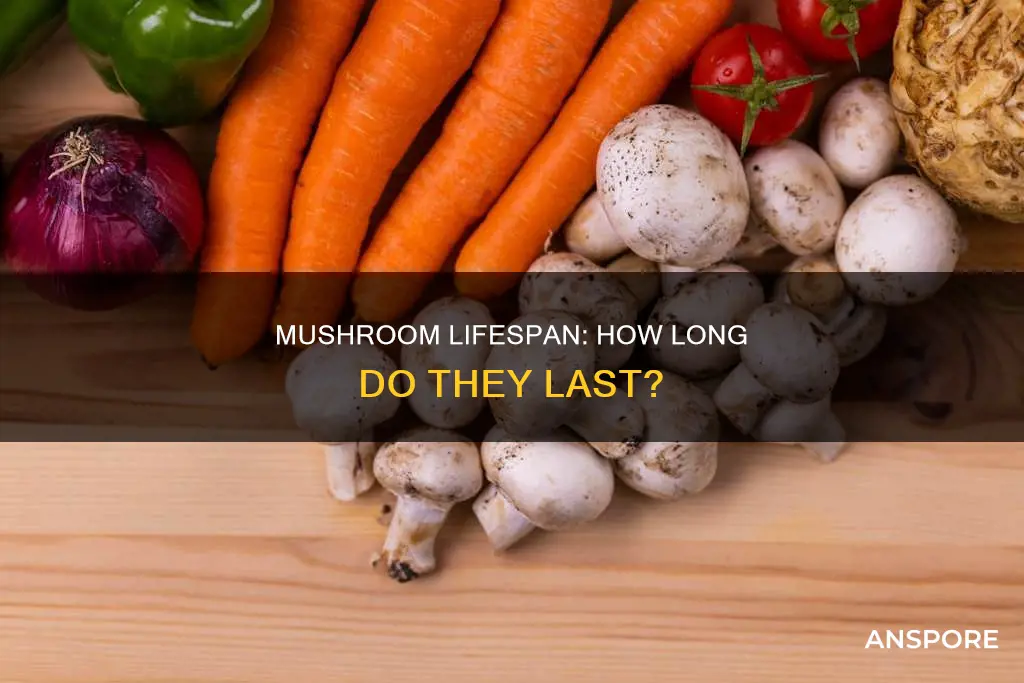 how fast do mushrooms spoil